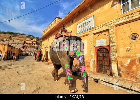 Mahouts warten darauf, dass Touristen im historischen Amer Fort Elefantenritte anbieten, da sie ihren Dienst nach über 8 Monaten Aussetzung aufgrund der COVID-19 Pandemie in Jaipur, Rajasthan, Indien, am Dienstag, den 24. November 2020, wieder aufgenommen haben. (Foto von Vishal Bhatnagar/NurPhoto) Stockfoto