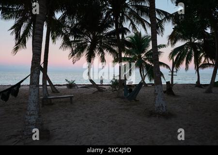 Die Palmen am Strand vor dem Hintergrund des goldenen Sonnenuntergangs auf dem Ozean Haiti Stockfoto