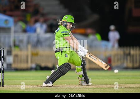 Tammy Beaumont of the Thunder Fledermäuse während des Women's Big Bash League Finales zwischen den Melbourne Stars und dem Sydney Thunder im North Sydney Oval am 28. November 2020 in Sydney, Australien. (Nur für redaktionelle Zwecke) (Foto von Izhar Khan/NurPhoto) Stockfoto