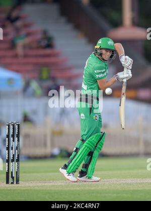 MEG Lanning of the Stars Fledermäuse während des Women's Big Bash League Finales zwischen den Melbourne Stars und dem Sydney Thunder im North Sydney Oval, am 28. November 2020 in Sydney, Australien (nur redaktioneller Zweck) (Foto: Izhar Khan/NurPhoto) Stockfoto