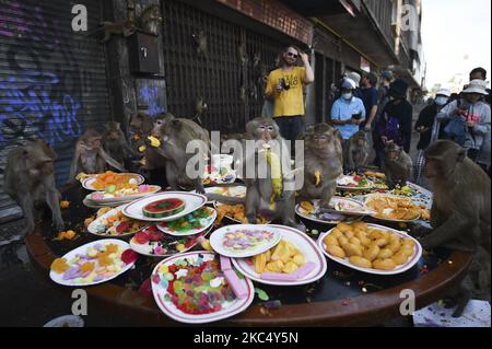 Affen essen am 29. November 2020 im Phra Prang Sam Yod Tempel in Lopburi, nördlich von Bangkok, Thailand, eine Vielzahl von Obst und Gemüse. (Foto von Anusak Laowias/NurPhoto) Stockfoto