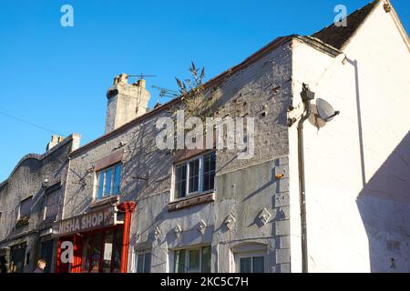 Baum, der aus einem verlassenen Gebäude in Uttoxeter, Staffordshire, Großbritannien, wächst Stockfoto