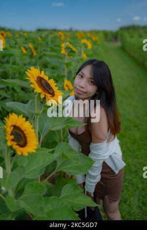 Eine vertikale Aufnahme einer jungen südasiatischen Frau, die im Sonnenblumenfeld posiert Stockfoto
