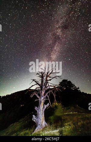 Milchstraße, aufgenommen mit Langzeitbelichtungstechnik. Die Milchstraße ist der sichtbare Teil unserer Galaxie, der unser Sonnensystem enthält, wie sie in der Nacht vom Olymp, dem mythischen Berg in der altgriechischen Kultur, zwischen der Petrostruuga-Hütte und dem Skourta-Gipfel, auf dem Wanderweg über 2000m m über dem Meeresspiegel in Griechenland während der Nacht zu sehen ist. Nachtlandschaft mit Bäumen, Wald, Gipfeln mit farbenfroher Milchstraße-Himmelskuppel, wolkenloser Himmel auf Bergen mit dem Sternenhimmel mit Hügeln im Sommer mit dem wunderschönen Universum und Weltraum-Hintergrund. Olympus Mountain National Park, Griechenland - Oktober Stockfoto