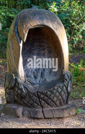 Penn Street, Buckinghamshire, Großbritannien. 4.. November 2022. Ein mit Eicheln geschnitzter Sitz im Penn Wood. Die Wälder wurden 1999 vom Woodland Trust nach einem sechsjährigen Kampf von den Freunden von Penn Wood erworben, die es aufhörten, in einen 18-Loch-Golfplatz umgewandelt zu werden. Penn Wood, in den Chilterns, einem Gebiet von außergewöhnlicher natürlicher Schönheit, ist ein ‘alter Wald“ mit Bäumen, die über 200 Jahre alt sind. Quelle: Maureen McLean/Alamy Live News Stockfoto