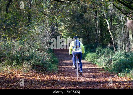 Penn Street, Buckinghamshire, Großbritannien. 4.. November 2022. Ein Radfahrer, der die Sonne in Penn Wood genießt. Die Wälder wurden 1999 vom Woodland Trust nach einem sechsjährigen Kampf von den Freunden von Penn Wood erworben, die es aufhörten, in einen 18-Loch-Golfplatz umgewandelt zu werden. Penn Wood, in den Chilterns, einem Gebiet von außergewöhnlicher natürlicher Schönheit, ist ein ‘alter Wald“ mit Bäumen, die über 200 Jahre alt sind. Quelle: Maureen McLean/Alamy Live News Stockfoto