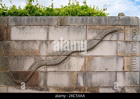 Steinschnitzereien „See Wall“ in Morecambe, Lancashire, Großbritannien Stockfoto