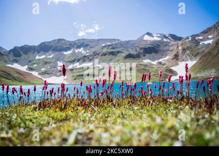 Der Dudipatsar Lake, auch bekannt als Dudipat Lake, ist ein See, der von schneebedeckten Gipfeln im Lulusar-Dudipatsar National Park umgeben ist. Stockfoto