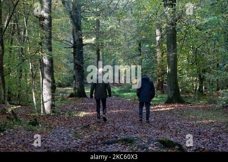 Penn Street, Buckinghamshire, Großbritannien. 4.. November 2022. Spaziergänger genießen die Sonne in Penn Wood. Die Wälder wurden 1999 vom Woodland Trust nach einem sechsjährigen Kampf von den Freunden von Penn Wood erworben, die es aufhörten, in einen 18-Loch-Golfplatz umgewandelt zu werden. Penn Wood, in den Chilterns, einem Gebiet von außergewöhnlicher natürlicher Schönheit, ist ein ‘alter Wald“ mit Bäumen, die über 200 Jahre alt sind. Quelle: Maureen McLean/Alamy Live News Stockfoto