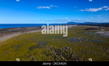 Blick auf die Küste und das Meer in Port Macquarie, Australien Stockfoto