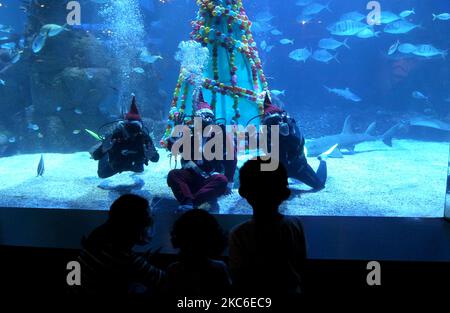 Im Jakarta Aquarium und Safari, Mall Neo Soho, Grogol, Jakarta, begrüßen Taucher, die als Weihnachtsmann gekleidet sind, die Besucher im mit Weihnachtsbäumen geschmückten Wasser. 24,2020. (Foto von Dasril Roszandi/NurPhoto) Stockfoto