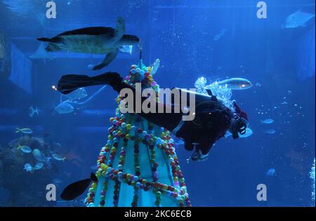 Im Jakarta Aquarium und Safari, Mall Neo Soho, Grogol, Jakarta, begrüßen Taucher, die als Weihnachtsmann gekleidet sind, die Besucher im mit Weihnachtsbäumen geschmückten Wasser. 24,2020. (Foto von Dasril Roszandi/NurPhoto) Stockfoto