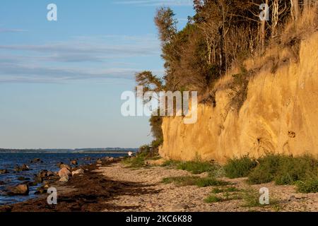 Steile Küste am schwarzen Busch mit Meer und blauem Himmel, auf der Insel Poel an der Ostsee, Deutschland Stockfoto