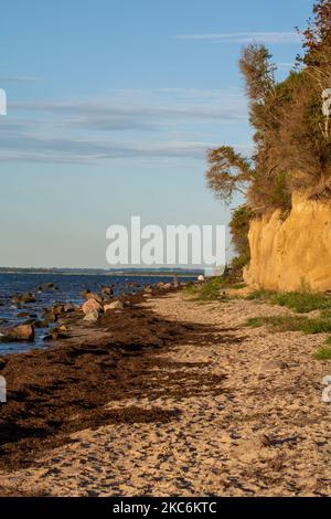 Steile Küste am schwarzen Busch mit Meer und blauem Himmel, auf der Insel Poel an der Ostsee, Deutschland Stockfoto