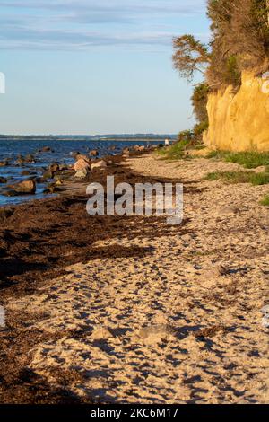 Steile Küste am schwarzen Busch mit Meer und blauem Himmel, auf der Insel Poel an der Ostsee, Deutschland Stockfoto