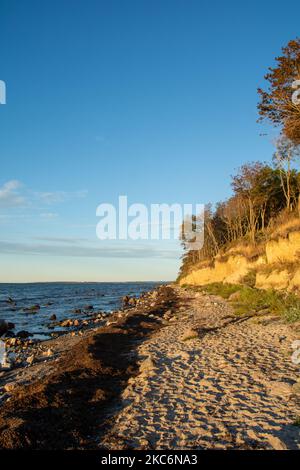 Steile Küste am schwarzen Busch mit Meer und blauem Himmel, auf der Insel Poel an der Ostsee, Deutschland Stockfoto