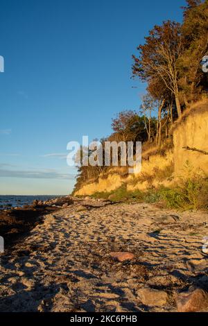 Steile Küste am schwarzen Busch mit Meer und blauem Himmel, auf der Insel Poel an der Ostsee, Deutschland Stockfoto