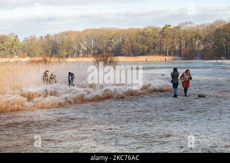 Tägliches Leben in der niederländischen Landschaft, während das Land vor kaltem, aber sonnigem Winterwetter mit Temperaturen unter dem Gefrierpunkt steht. Frost bedeckte den Wald und die Wiese und das Eis bildeten sich herum. Menschen, die mit Familien, Kindern und Haustieren unterwegs sind, um den gefrorenen See Grootmeer in der Nähe von Wintelre, wenige Kilometer vom Flughafen Eindhoven entfernt, zu sehen. Wintelre, Niederlande am 9. Januar 2020 (Foto von Nicolas Economou/NurPhoto) Stockfoto