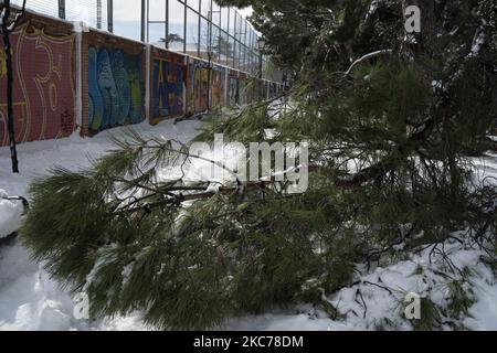 Schäden durch den Sturm Filomena in Madrid, Spanien am 10. Januar 2021. Der Sturm Filomena brachte mehr als 50cm Schnee in die spanische Hauptstadt, den größten seit Jahrzehnten. (Foto von Oscar Gonzalez/NurPhoto) Stockfoto