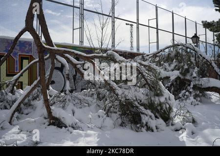 Schäden durch den Sturm Filomena in Madrid, Spanien am 10. Januar 2021. Der Sturm Filomena brachte mehr als 50cm Schnee in die spanische Hauptstadt, den größten seit Jahrzehnten. (Foto von Oscar Gonzalez/NurPhoto) Stockfoto