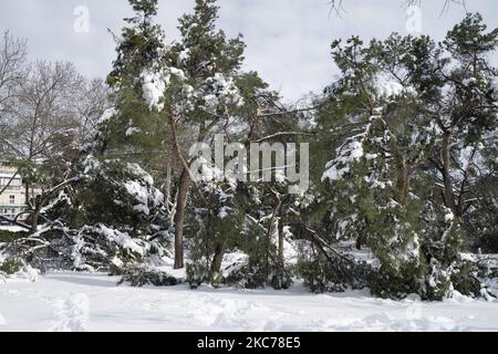 Schäden durch den Sturm Filomena in Madrid, Spanien am 10. Januar 2021. Der Sturm Filomena brachte mehr als 50cm Schnee in die spanische Hauptstadt, den größten seit Jahrzehnten. (Foto von Oscar Gonzalez/NurPhoto) Stockfoto