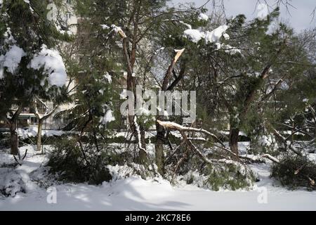 Schäden durch den Sturm Filomena in Madrid, Spanien am 10. Januar 2021. Der Sturm Filomena brachte mehr als 50cm Schnee in die spanische Hauptstadt, den größten seit Jahrzehnten. (Foto von Oscar Gonzalez/NurPhoto) Stockfoto