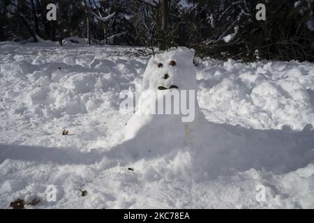 Schäden durch den Sturm Filomena in Madrid, Spanien am 10. Januar 2021. Der Sturm Filomena brachte mehr als 50cm Schnee in die spanische Hauptstadt, den größten seit Jahrzehnten. (Foto von Oscar Gonzalez/NurPhoto) Stockfoto