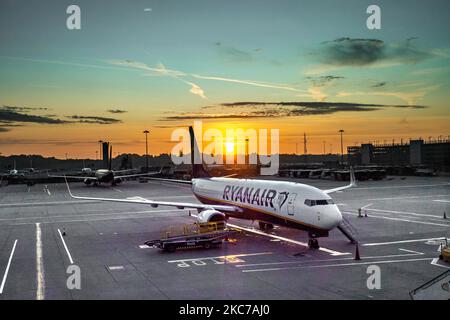 Am frühen Morgen magische Stunde Sonnenaufgang Landschaft in London Stansted STN EGSS Flughafen, mit Flugzeugen von Ryanair FR RYR Irish Low-Cost-Carrier, Boeing 737-800 Flugzeug geparkt auf dem Asphalt des Vorfeldes vor den Toren des Flughafenterminals. Der weltweite Passagierverkehr ging während der Coronavirus-Pandemie von Covid-19 zurück, da die Luftfahrtindustrie aufgrund der Sperre und Reisebeschränkungen ums Überleben kämpfte und staatliche Finanzhilfen benötigte, die Flotte geerdet wurde, während sie Reisende aufforderte, Gesichtsmask zu tragen, negative Tests durchzuführen oder in Quarantäne zu bleiben. Stansted Airport, Großbritannien auf SE Stockfoto