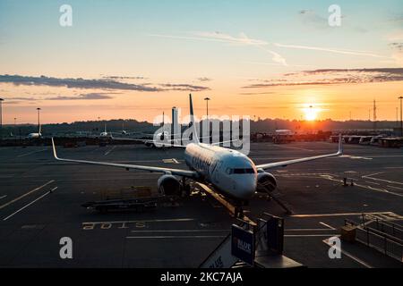 Am frühen Morgen magische Stunde Sonnenaufgang Landschaft in London Stansted STN EGSS Flughafen, mit Flugzeugen von Ryanair FR RYR Irish Low-Cost-Carrier, Boeing 737-800 Flugzeug geparkt auf dem Asphalt des Vorfeldes vor den Toren des Flughafenterminals. Der weltweite Passagierverkehr ging während der Coronavirus-Pandemie von Covid-19 zurück, da die Luftfahrtindustrie aufgrund der Sperre und Reisebeschränkungen ums Überleben kämpfte und staatliche Finanzhilfen benötigte, die Flotte geerdet wurde, während sie Reisende aufforderte, Gesichtsmask zu tragen, negative Tests durchzuführen oder in Quarantäne zu bleiben. Stansted Airport, Großbritannien auf SE Stockfoto