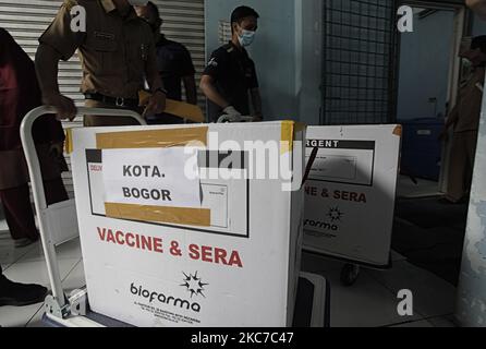 Am 12. Januar 2021 tragen die Arbeiter Transportkisten des Impfstoffes COVID-19 von Sinovac Biotech Ltd. In Bogor, West-Java, Indonesien. Präsident Joko Widodo wird sich am Mittwoch, den 13. Januar, gegen das Coronavirus impfen lassen. (Foto von Adriana Adie/NurPhoto) Stockfoto