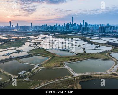 Hongkong, China, 16. Januar 2021, Shenzhen und das geschlossene Gebiet von Hongkong mit Drohne gesehen. (Foto von Marc Fernandes/NurPhoto) Stockfoto