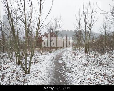 Das tägliche Leben in den Niederlanden mit dem ersten Schneefall des Jahres, der fast alles in der Nähe der Stadt Eindhoven abdeckt, während das kalte Wetter Temperaturen unter Null zeigt und die Menschen draußen sind, um den Schnee zu genießen oder mit dem Fahrrad zu pendeln. Der kälte Zustand mit Schnee und Eis wird sich laut Prognose bald ändern, der eisige Zustand wird nicht mehr als einen Tag dauern. Meerhoven, Niederlande am 16. Januar 2020 (Foto von Nicolas Economou/NurPhoto) Stockfoto