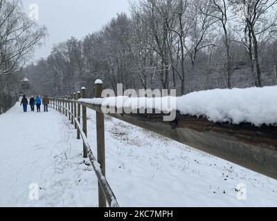 Die Menschen genießen einen verschneiten Tag in Stuttgart am 17. Januar 2021 (Foto: Agron Beqiri/NurPhoto) Stockfoto