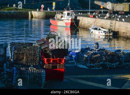 Eine Ansicht der Fangkäfige und Fischernetze im Bullock Harbour in Glenageary, Dublin, während der Covid-19-Sperre auf Ebene 5. Am Montag, den 25. Januar 2021, in Dublin, Irland. (Foto von Artur Widak/NurPhoto) Stockfoto