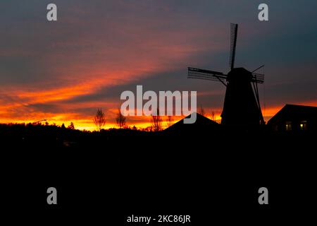 Eine traditionelle holländische Windmühle, die während der Sonnenuntergangszeit an dem süßen Ort Magic Hour in der Abenddämmerung während eines kalten Wintertages gesehen wird, an dem sich der farbenfrohe, klare Himmel mit den Wolken vermischt. Die Windmühle, eine touristische Attraktion und Symbol des Landes, befindet sich am Stadtrand von Veldhoven, in der Nähe der Stadt Eindhoven in der Region Nordbrabant. Die spezielle Mühle ist eine Bäckerei und ein Café, der Orose Mill Baker. Veldhoven, Niederlande am 25. Januar 2021 (Foto von Nicolas Economou/NurPhoto) Stockfoto