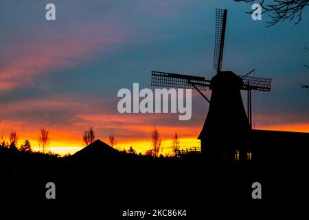 Eine traditionelle holländische Windmühle, die während der Sonnenuntergangszeit an dem süßen Ort Magic Hour in der Abenddämmerung während eines kalten Wintertages gesehen wird, an dem sich der farbenfrohe, klare Himmel mit den Wolken vermischt. Die Windmühle, eine touristische Attraktion und Symbol des Landes, befindet sich am Stadtrand von Veldhoven, in der Nähe der Stadt Eindhoven in der Region Nordbrabant. Die spezielle Mühle ist eine Bäckerei und ein Café, der Orose Mill Baker. Veldhoven, Niederlande am 25. Januar 2021 (Foto von Nicolas Economou/NurPhoto) Stockfoto