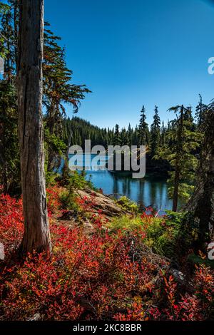 Der größere der Tenas Lakes auf dem Scott Mountain Trail in der Mt Washington Wilderness in Zentral-Oregon. Stockfoto