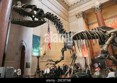 Weitwinkelansicht in der Theodore Roosevelt Rotunda, der Hauptlobby mit Dinosaurierfossilien, die im American Museum of Natural History AMNH in der Upper West Side von Manhattan in der Nähe des Central Park in New York City öffentlich ausgestellt sind. Das Museum empfängt jährlich rund 5 Millionen Besucher, Touristen, Einheimische und Studenten. New York, Vereinigte Staaten von Amerika USA am 2020. Februar (Foto von Nicolas Economou/NurPhoto) Stockfoto