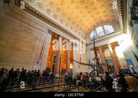 Weitwinkelansicht in der Theodore Roosevelt Rotunda, der Hauptlobby mit Dinosaurierfossilien, die im American Museum of Natural History AMNH in der Upper West Side von Manhattan in der Nähe des Central Park in New York City öffentlich ausgestellt sind. Das Museum empfängt jährlich rund 5 Millionen Besucher, Touristen, Einheimische und Studenten. New York, Vereinigte Staaten von Amerika USA am 2020. Februar (Foto von Nicolas Economou/NurPhoto) Stockfoto