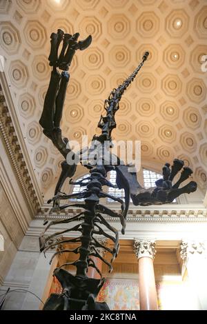 Weitwinkelansicht in der Theodore Roosevelt Rotunda, der Hauptlobby mit Dinosaurierfossilien, die im American Museum of Natural History AMNH in der Upper West Side von Manhattan in der Nähe des Central Park in New York City öffentlich ausgestellt sind. Das Museum empfängt jährlich rund 5 Millionen Besucher, Touristen, Einheimische und Studenten. New York, Vereinigte Staaten von Amerika USA am 2020. Februar (Foto von Nicolas Economou/NurPhoto) Stockfoto