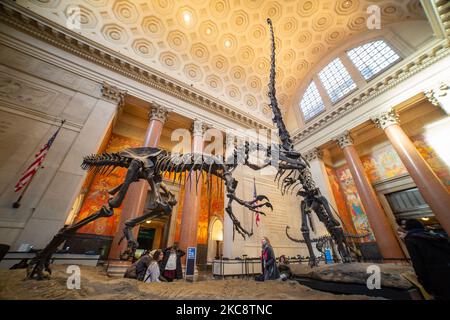 Weitwinkelansicht in der Theodore Roosevelt Rotunda, der Hauptlobby mit Dinosaurierfossilien, die im American Museum of Natural History AMNH in der Upper West Side von Manhattan in der Nähe des Central Park in New York City öffentlich ausgestellt sind. Das Museum empfängt jährlich rund 5 Millionen Besucher, Touristen, Einheimische und Studenten. New York, Vereinigte Staaten von Amerika USA am 2020. Februar (Foto von Nicolas Economou/NurPhoto) Stockfoto