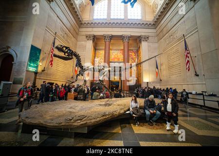 Weitwinkelansicht in der Theodore Roosevelt Rotunda, der Hauptlobby mit Dinosaurierfossilien, die im American Museum of Natural History AMNH in der Upper West Side von Manhattan in der Nähe des Central Park in New York City öffentlich ausgestellt sind. Das Museum empfängt jährlich rund 5 Millionen Besucher, Touristen, Einheimische und Studenten. New York, Vereinigte Staaten von Amerika USA am 2020. Februar (Foto von Nicolas Economou/NurPhoto) Stockfoto