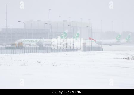 Die Flugzeugflotte von Transavia und die verschneite Schürze wurden geerdet, während die Maschinen den Schnee reinigen. Schneesturm schließt den Flughafen Eindhoven EIN in den Niederlanden. Starker Schneefall stört den Flugverkehr, der am Sonntag zu Umleitungen nach Deutschland führte. Blizzard vom Sturm Darcy traf das Land seit Sonntagmorgen (07.02.2021), was zu Problemen bei den öffentlichen Verkehrsmitteln führte. Auf dem schneebedeckten Flughafen Eindhoven werden Transavia-Flugzeuge am Boden gesehen, während schwere Maschinen die Rollbahn und die Landebahn reinigen. Dutzende von Flügen, die abfliegen sollten, wurden am Flughafen Schiphol in AMS verspätet oder gestrichen Stockfoto