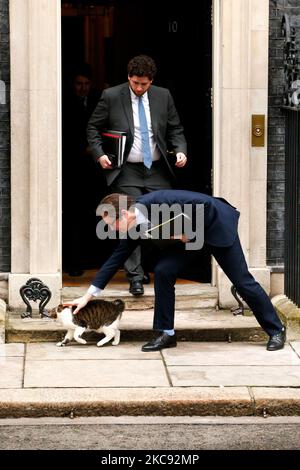 Alex Burghart, Parlamentarischer Privatsekretär des britischen Premierministers Boris Johnson und Parlamentsabgeordneter der Konservativen Partei für Brentwood und Ongar, tieret am 10. Februar 2021 den Hauskatzen Larry vor der Downing Street 10 in London, England. (Foto von David Cliff/NurPhoto) Stockfoto