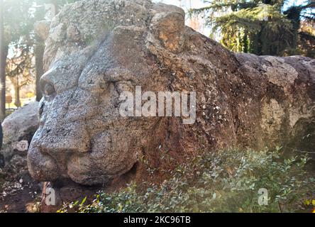 Löwenstatue im Parc La Rairie in Ifrane, Marokko, Afrika. Die Löwenstatue wurde 1930 geschnitzt und ist 7 Meter lang, 1,5 Meter breit und 2 Meter hoch. (Foto von Creative Touch Imaging Ltd./NurPhoto) Stockfoto