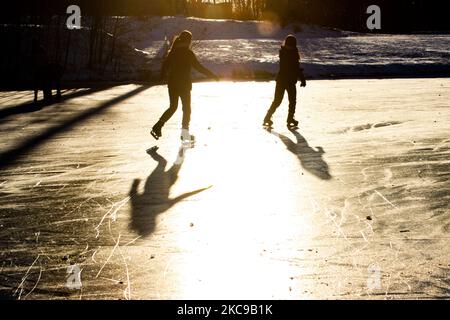 Dunkle Silhouetten von Menschen beim Eislaufen auf dem kristallklaren natürlichen gefrorenen See in der Region Nordbrabant am Nachmittag vor dem Sonnenuntergang. Eislaufrausch übernimmt die Niederlande. Die Niederländer haben viel Spaß und genießen das einwöchige, kalte Schneewetter mit Temperaturen unter Null, die dazu führen, dass Seen, Bäche, Teiche, Flüsse und Kanäle gefrieren. Im Park Meerland in der Nähe der Stadt Eindhoven haben sich die Massen an einem sonnigen Tag mit blauem Himmel abgesetzt, da es eine niederländische Tradition ist. Außerdem werden die Menschen im Freien in der eisgefrorenen Natur und der kalten Umgebung gesehen, die auf dem Eis der gefrorenen Seen spazieren gehen, p Stockfoto