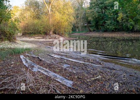 Wendover, Buckinghamshire, Großbritannien. 4.. November 2022. Der Wasserstand im Hampden Pond in Wendover ist drastisch gesunken. Die Wendover HS2 Mitigation Action Group hat bereits ihre Bedenken über die Bauarbeiten HS2 geäußert. Sie glauben, dass der Cutting and Green Tunnel von HS2 bei Wendover voraussichtlich schwere Schäden am Kalkwasserleiter verursachen wird. HS2 hat im Mai dieses Jahres eine CCTV-Untersuchung des Teichs durchgeführt, aber es war nicht bekannt, welche Ergebnisse es gibt und warum der Teichwasserstand so niedrig ist. Quelle: Maureen McLean/Alamy Live News Stockfoto