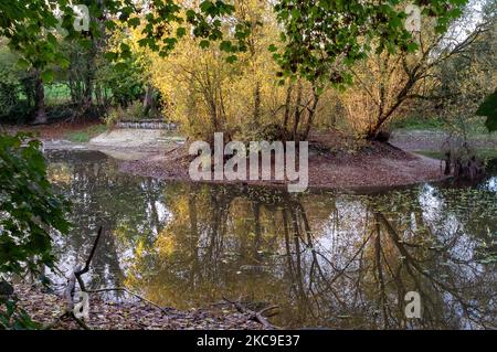 Wendover, Buckinghamshire, Großbritannien. 4.. November 2022. Der Wasserstand im Hampden Pond in Wendover ist drastisch gesunken. Die Wendover HS2 Mitigation Action Group hat bereits ihre Bedenken über die Bauarbeiten HS2 geäußert. Sie glauben, dass der Cutting and Green Tunnel von HS2 bei Wendover voraussichtlich schwere Schäden am Kalkwasserleiter verursachen wird. HS2 hat im Mai dieses Jahres eine CCTV-Untersuchung des Teichs durchgeführt, aber es war nicht bekannt, welche Ergebnisse es gibt und warum der Teichwasserstand so niedrig ist. Quelle: Maureen McLean/Alamy Live News Stockfoto