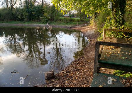 Wendover, Buckinghamshire, Großbritannien. 4.. November 2022. Der Wasserstand im Hampden Pond in Wendover ist drastisch gesunken. Die Wendover HS2 Mitigation Action Group hat bereits ihre Bedenken über die Bauarbeiten HS2 geäußert. Sie glauben, dass der Cutting and Green Tunnel von HS2 bei Wendover voraussichtlich schwere Schäden am Kalkwasserleiter verursachen wird. HS2 hat im Mai dieses Jahres eine CCTV-Untersuchung des Teichs durchgeführt, aber es war nicht bekannt, welche Ergebnisse es gibt und warum der Teichwasserstand so niedrig ist. Quelle: Maureen McLean/Alamy Live News Stockfoto