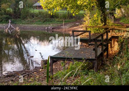 Wendover, Buckinghamshire, Großbritannien. 4.. November 2022. Der Wasserstand im Hampden Pond in Wendover ist drastisch gesunken. Die Wendover HS2 Mitigation Action Group hat bereits ihre Bedenken über die Bauarbeiten HS2 geäußert. Sie glauben, dass der Cutting and Green Tunnel von HS2 bei Wendover voraussichtlich schwere Schäden am Kalkwasserleiter verursachen wird. HS2 hat im Mai dieses Jahres eine CCTV-Untersuchung des Teichs durchgeführt, aber es war nicht bekannt, welche Ergebnisse es gibt und warum der Teichwasserstand so niedrig ist. Quelle: Maureen McLean/Alamy Live News Stockfoto